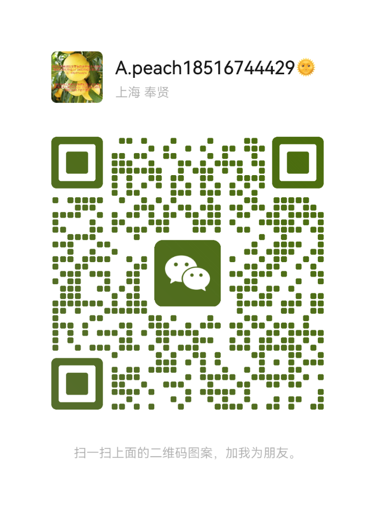 mmqrcode1662360807070.png