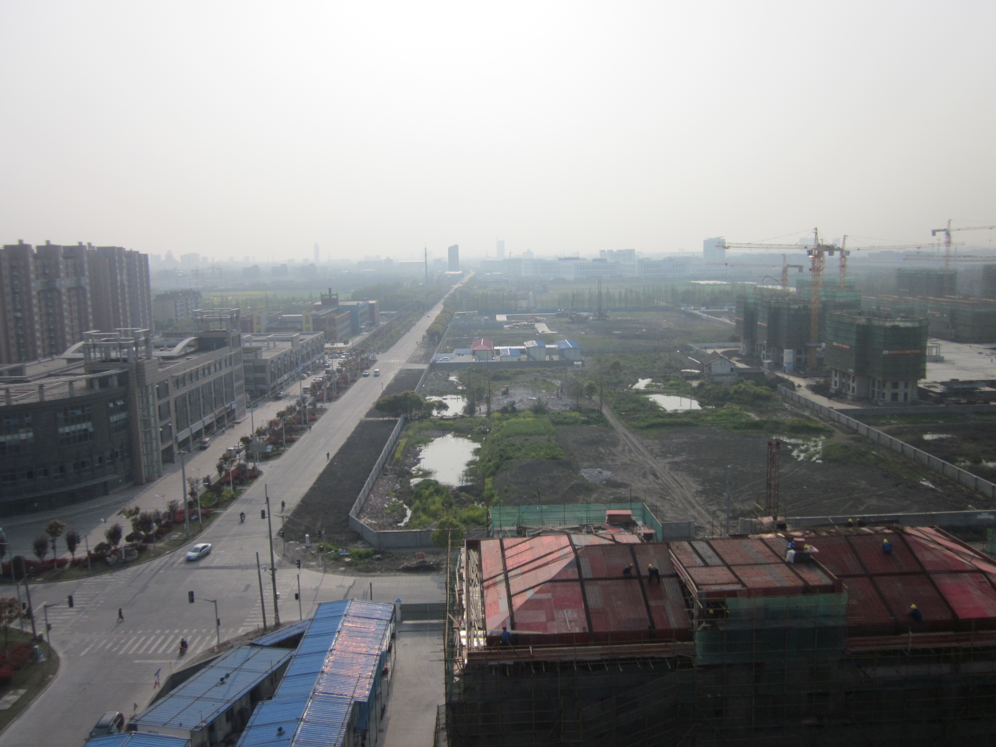 IMG_3826.jpg