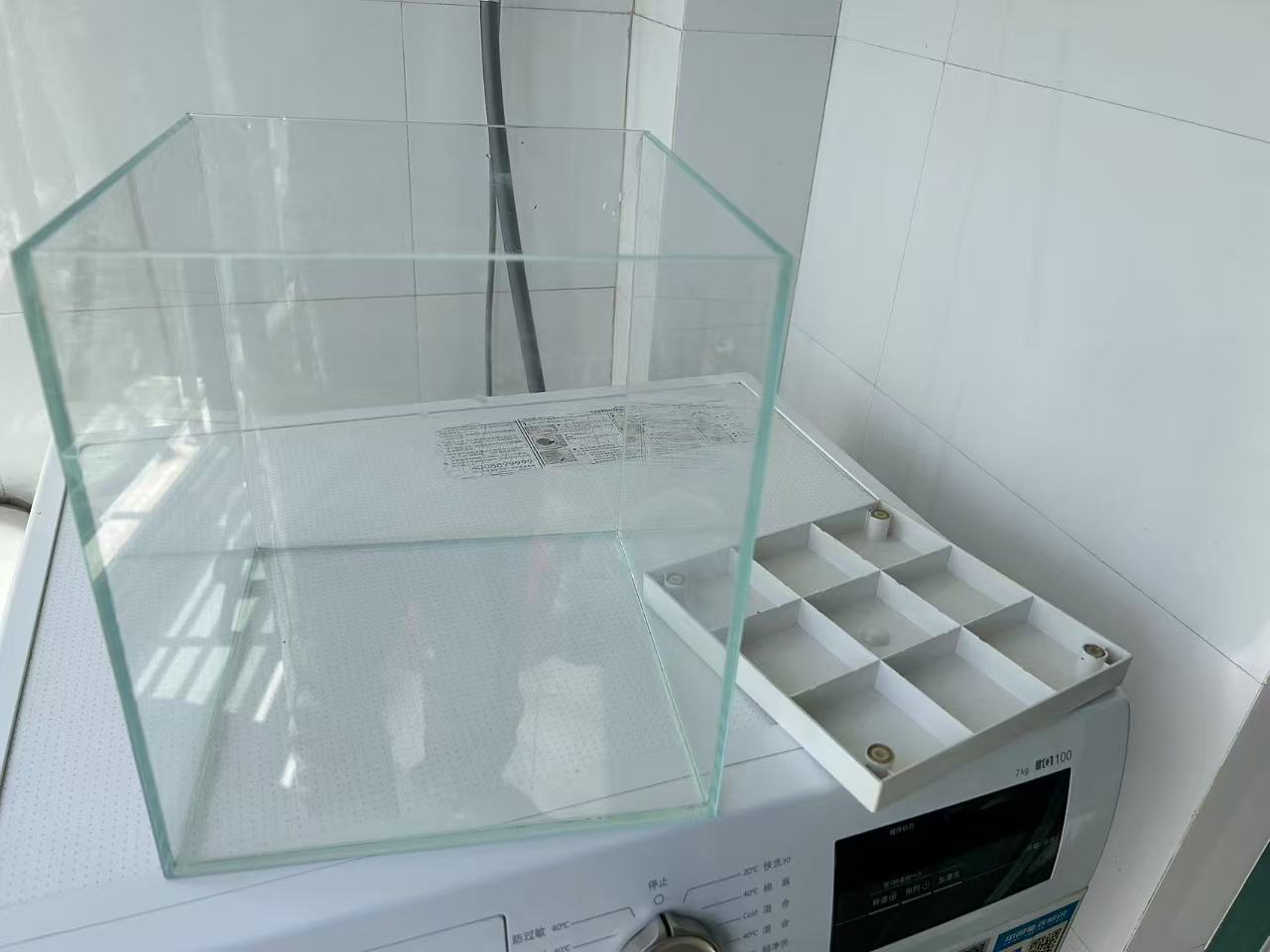 小方缸1
